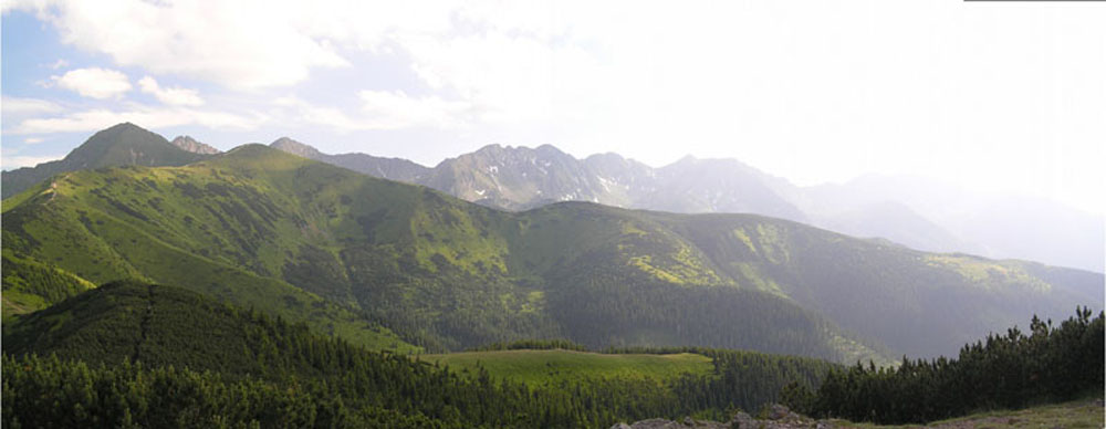 Panorama z Grzesia